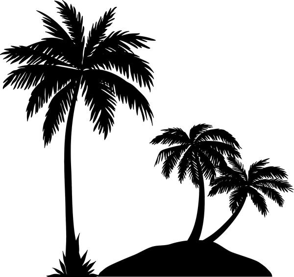 Palm