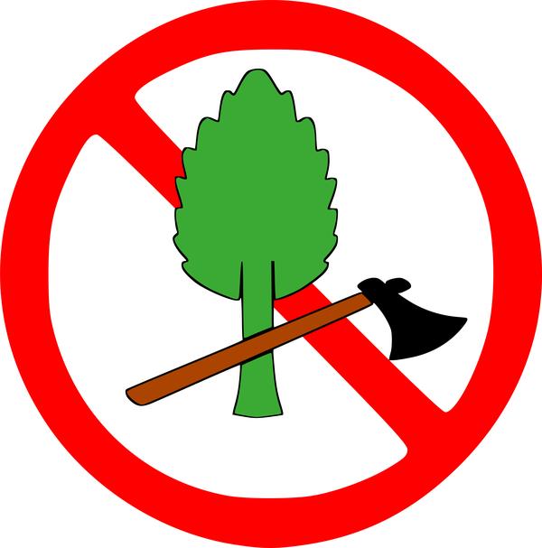 Tree3 şeffaf png